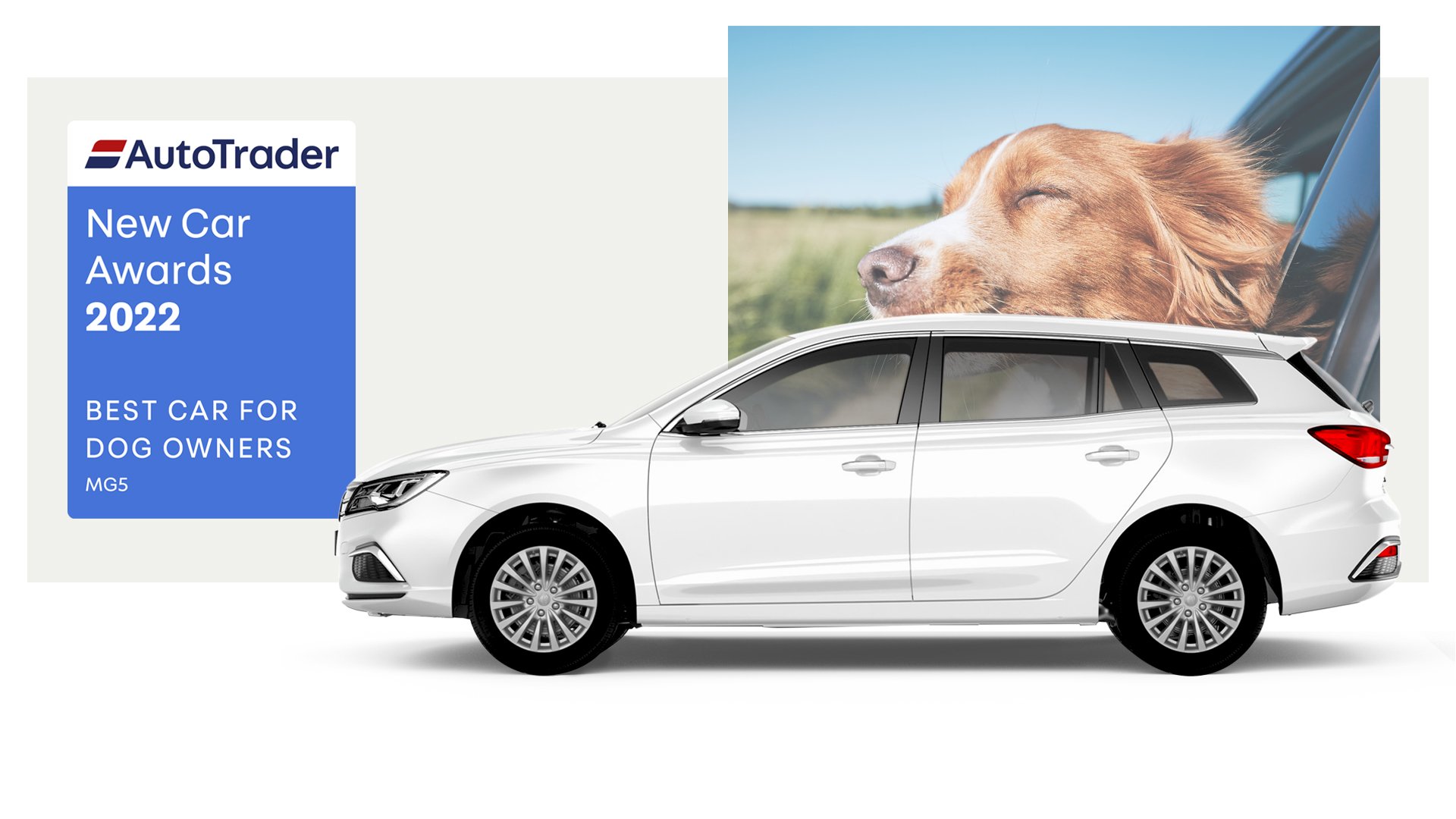 Best Car for Dog Owners 2022 MG5 AutoTrader